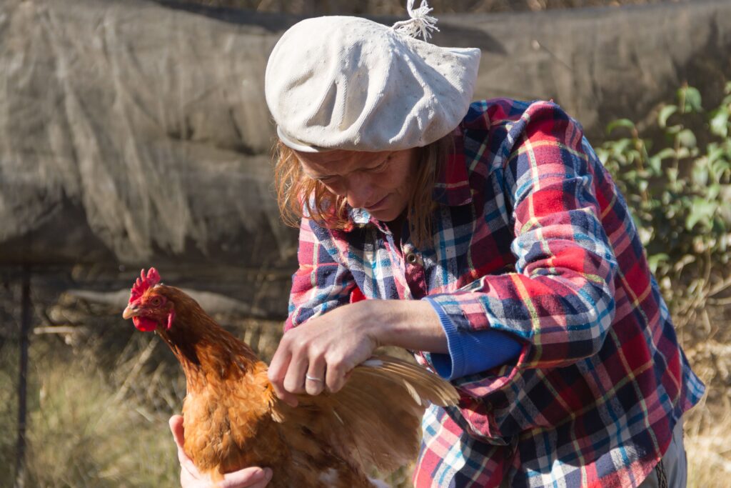Veterinary Medicine