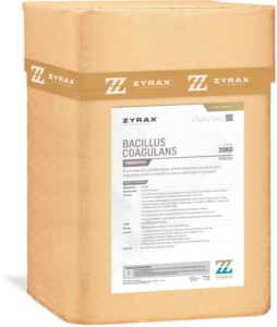 bacillus coagulans 600x710
