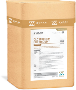 clostridium butyricum 1.0 600x710
