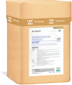 enterococcus faecalis 600x710