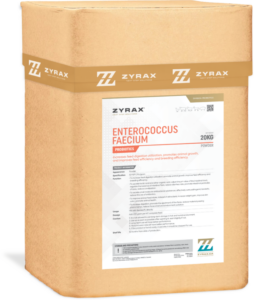 enterococcus faecium 600x710