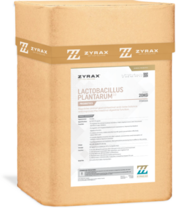 lactobacillus plantarum 2.0 600x710
