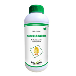 coccishield nexus 700x700