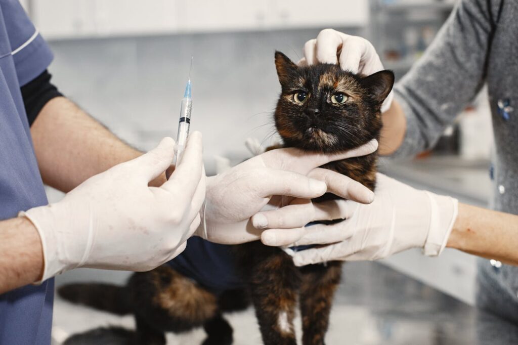 Livestock vaccines