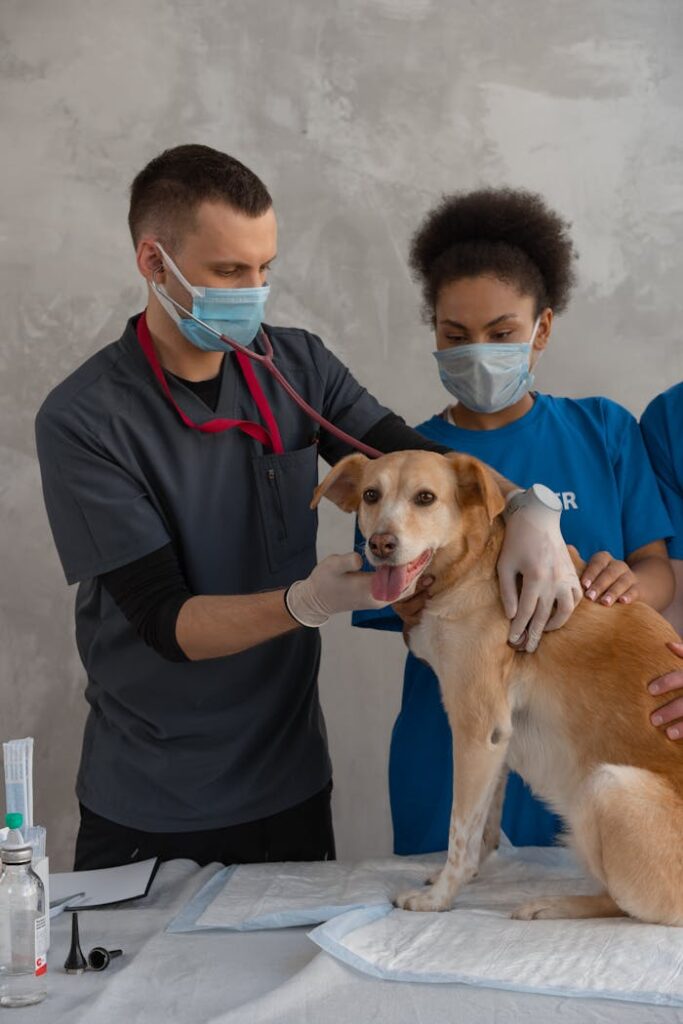 Veterinary Vaccines