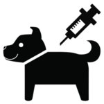 Veterinary Injections